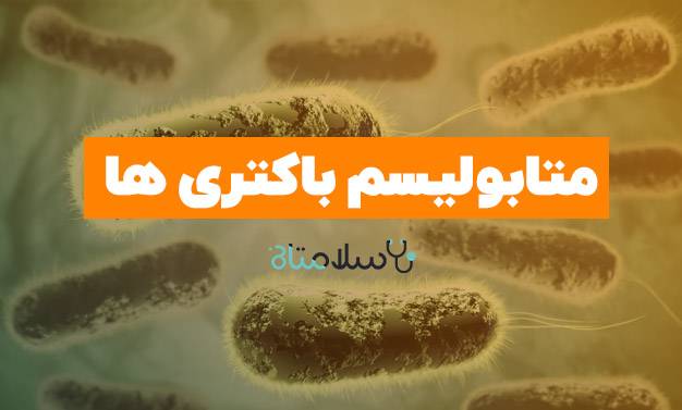 متابولیسم باکتری ها